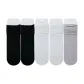 Moonlight Gray+2 Bleached+2 Black (Shopping Bag Included)