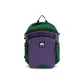 Purple Green Plaid