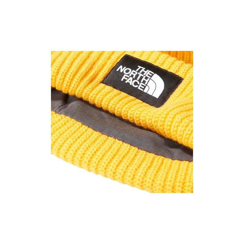 THE NORTH FACE Salty Lined Beanie-3