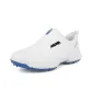 White Blue