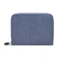 Gray Blue Purple