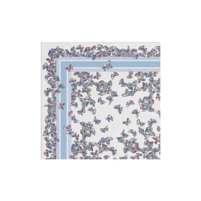 DIOR Cashmere Shawls Women's Sky Blue-2