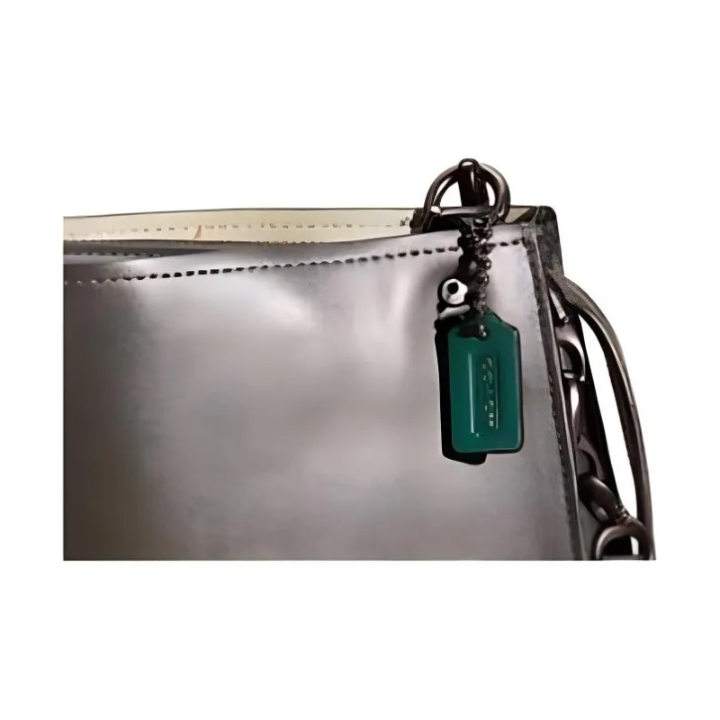 COACH Emery Eggstone Grain Leather Crossbody Bag Shoulder Bag Large Size Women's White Aluminum With Ivy-2