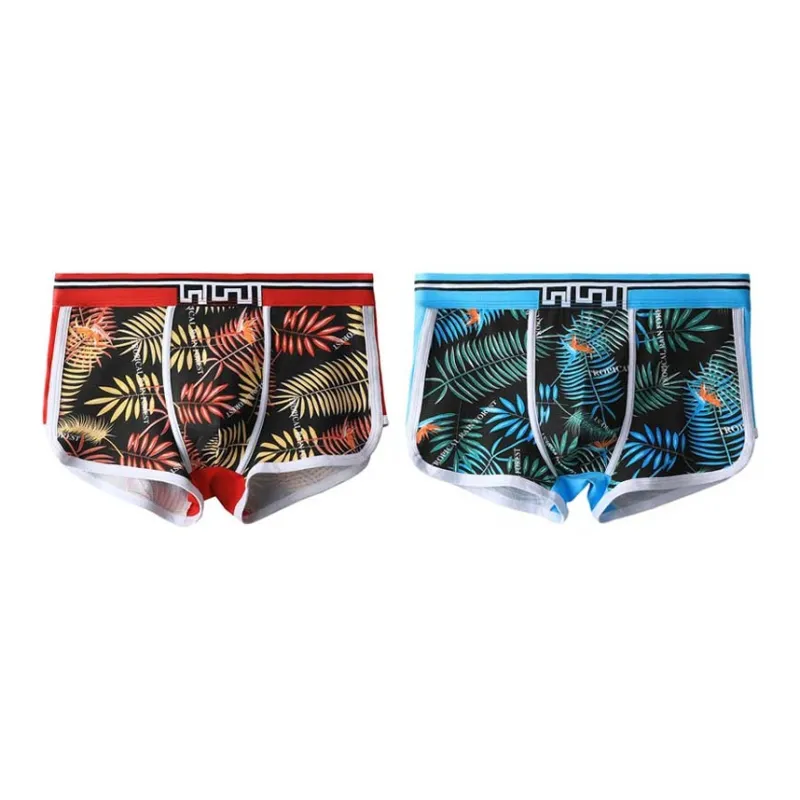 Cotton Gene Underpants Men's 2 Pack-12