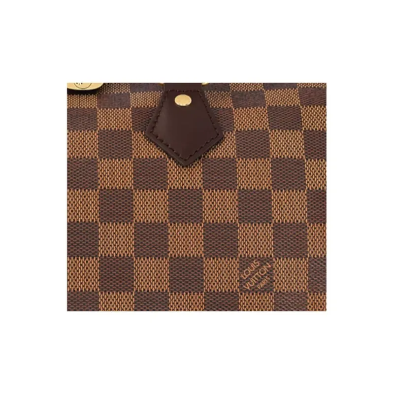LOUIS VUITTON N40590 Speedy Bandoulière 25-3