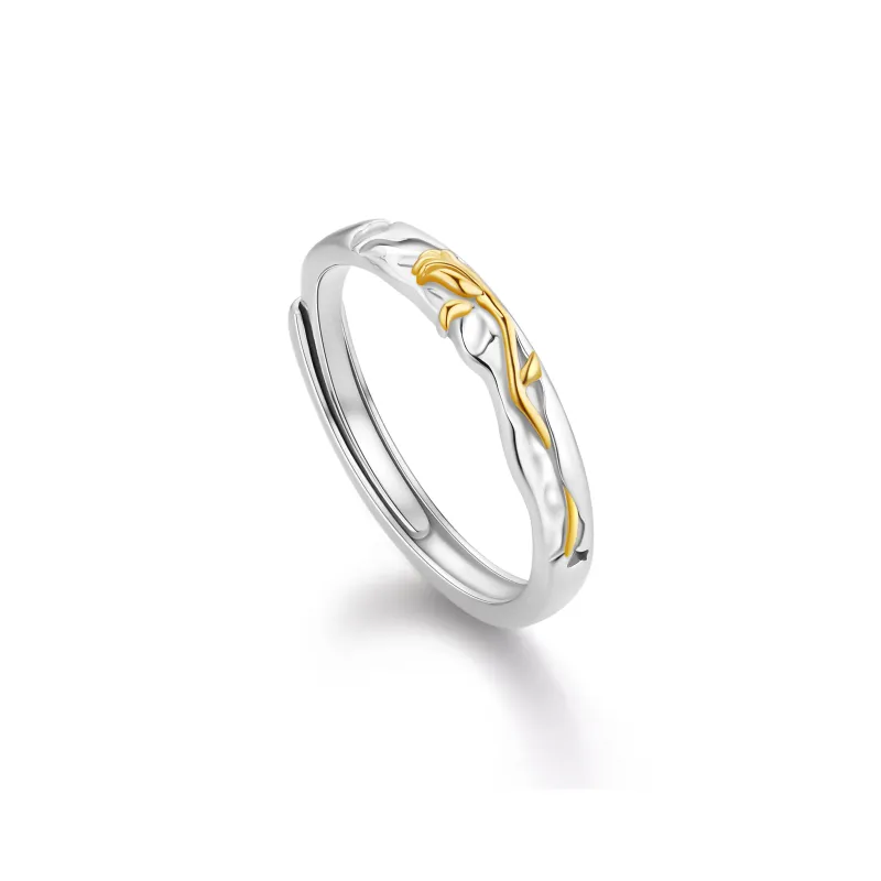 ZSY Silver 925 Ring 'Love Forever' Unisex-3