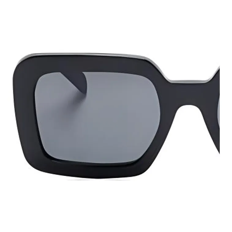 CELINE Triomphe 13 Sunglasses In Acetate-2
