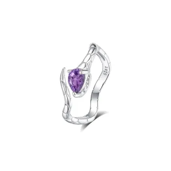Schloney S925 Silver Rings Women's Gift Box Set