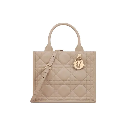 DIOR BookTote Calfskin Tote Bag Shopping Bag Handbag Small Size Women's Taupe