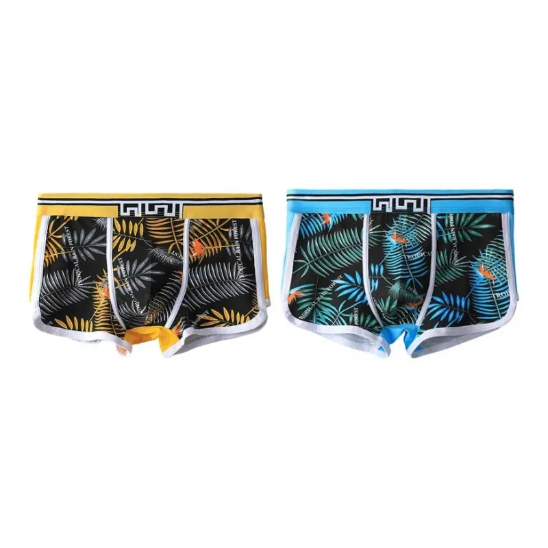 Cotton Gene Underpants Men's 2 Pack-6