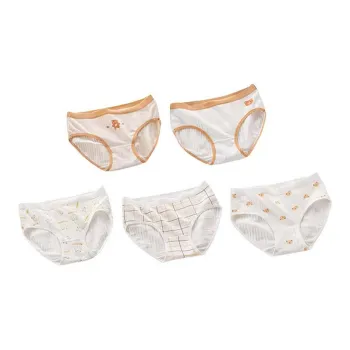 Herbal Primer Underpants Women's 5 Pack