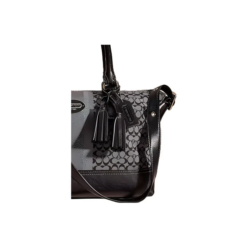 COACH Molly East West Handbags-2