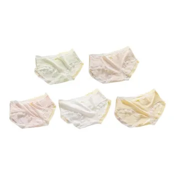 Herbal Primer Underpants Women's 5 Pack