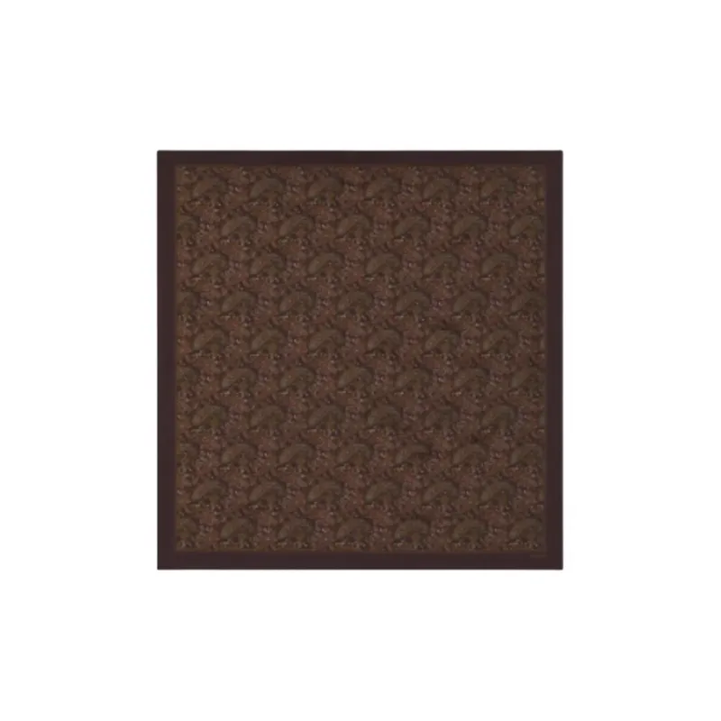 SAINT LAURENT Mulberry Silk Scarves Unisex Brown-0