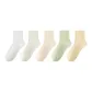 5 Pack (Light Green-Light Yellow-Beige-Milk White-White)
