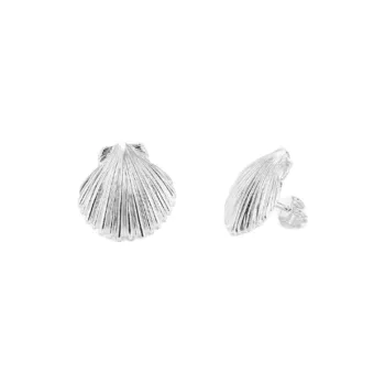 Radiant Stainless Steel Earrings Women's Silver