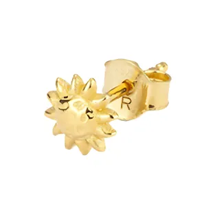 Radiant Stainless Steel Stud Earrings Women's Gold-0