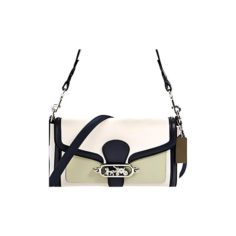 COACH Jade Leather God Of Wine Bag, Shoulder Bag, Portable Crossbody Bag Women's Black White & Light Green-3