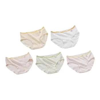 Herbal Primer Underpants Women's 5 Pack