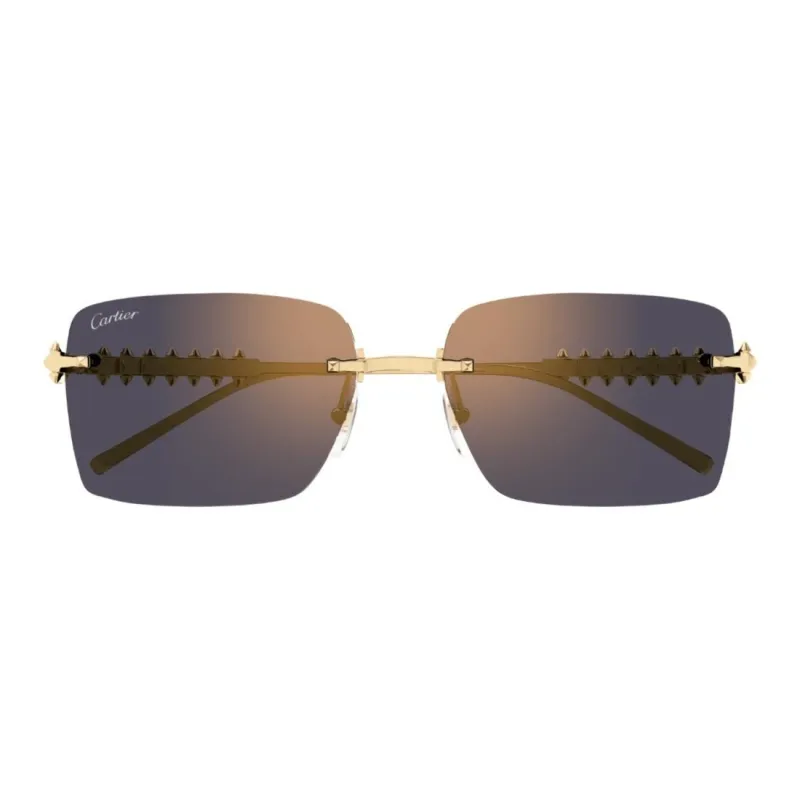 Cartier Rectangle frame Sunglasses-1