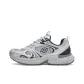 Silver Gray