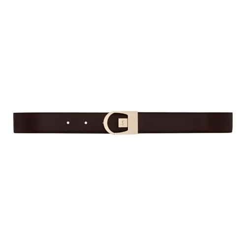 SAINT LAURENT Leather Leather Belts Women's Brown Width: 3CM