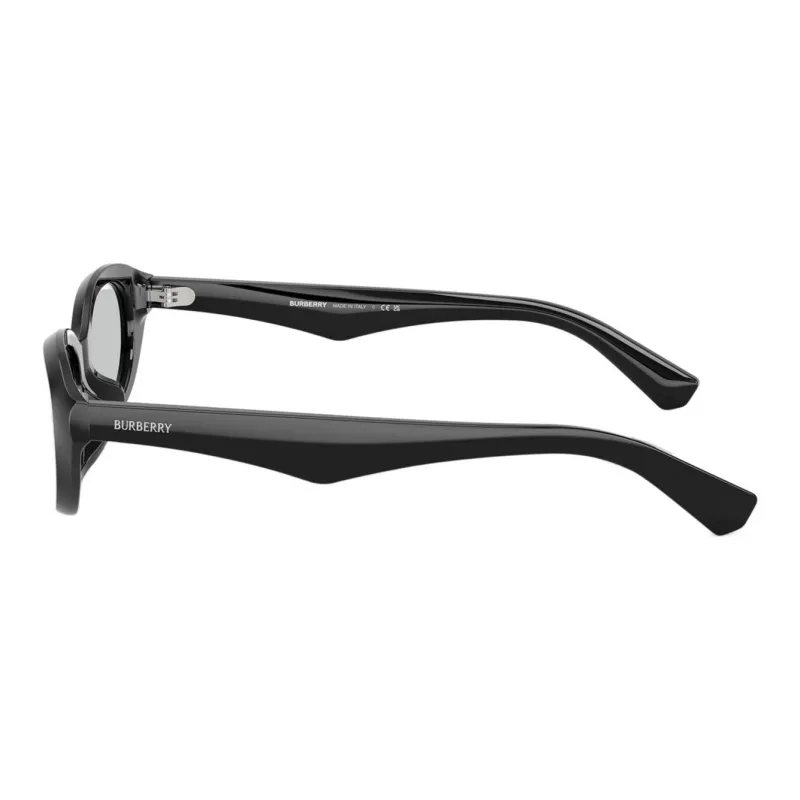 Burberry Round Frame Sunglasses-2