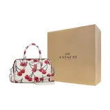 Bag+Dust Bag+Yellow Box