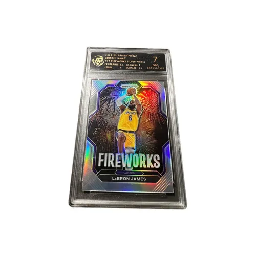 PANINI Graded Cards