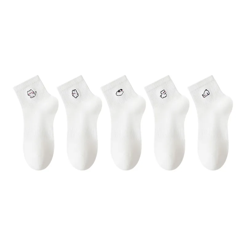 Top Melon Ankle Socks Women's Combo Set-5