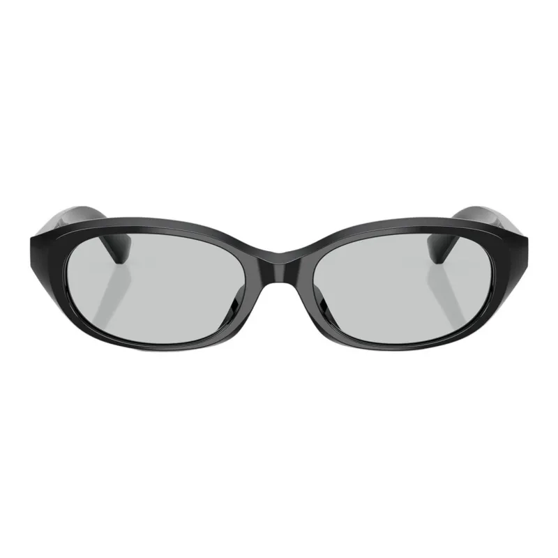 Burberry Round Frame Sunglasses-1