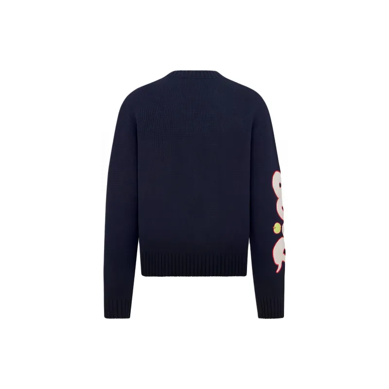 DIOR X Kaws Sweater-1