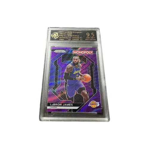 PANINI Graded Cards