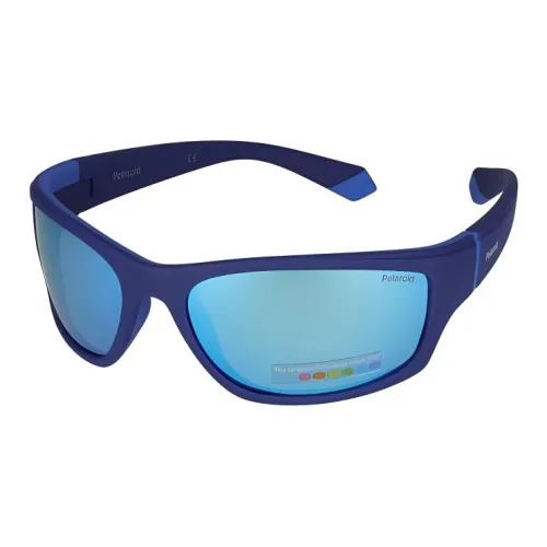 Polaroid Plastic Irregular Shape Sunglasses Men's Blue