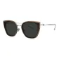 BL6109C21 Polarized