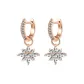 Snowflake Hoop Earrings-Rose Gold Silver Snowflake