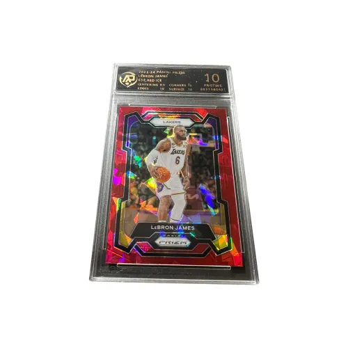 PANINI Graded Cards