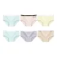 6 Pack (2 White Blue+Brown Pink+White Yellow+White Blue+White Purple)