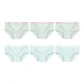6 Pack (3 Pink Green+3 White Blue)