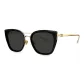 BL6109C10 Polarized