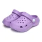 1209 Purple