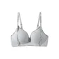 Silver Gray