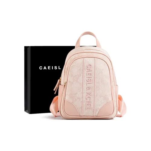 CAEISL&KCIEL PU Backpack Regular Women's Embroidery Powder
