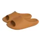 Capybara Color