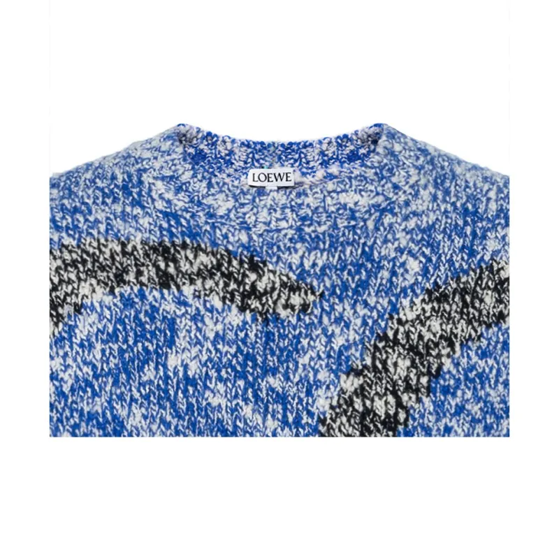 LOEWE Crewneck Sweater-6