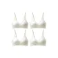 4 Pack (Champagne)
