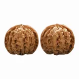Apple Round-Original