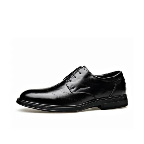 Mr. Thorn Tree Casual Shoes Men's Black