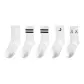 5 Pack (Pure White-2 White Double Stripe-White Moon Bright-White X)