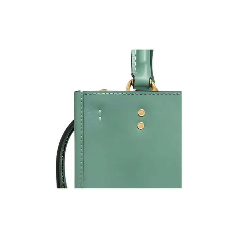 COACH Rogue Handbags-1